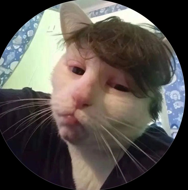 Avatar Golike